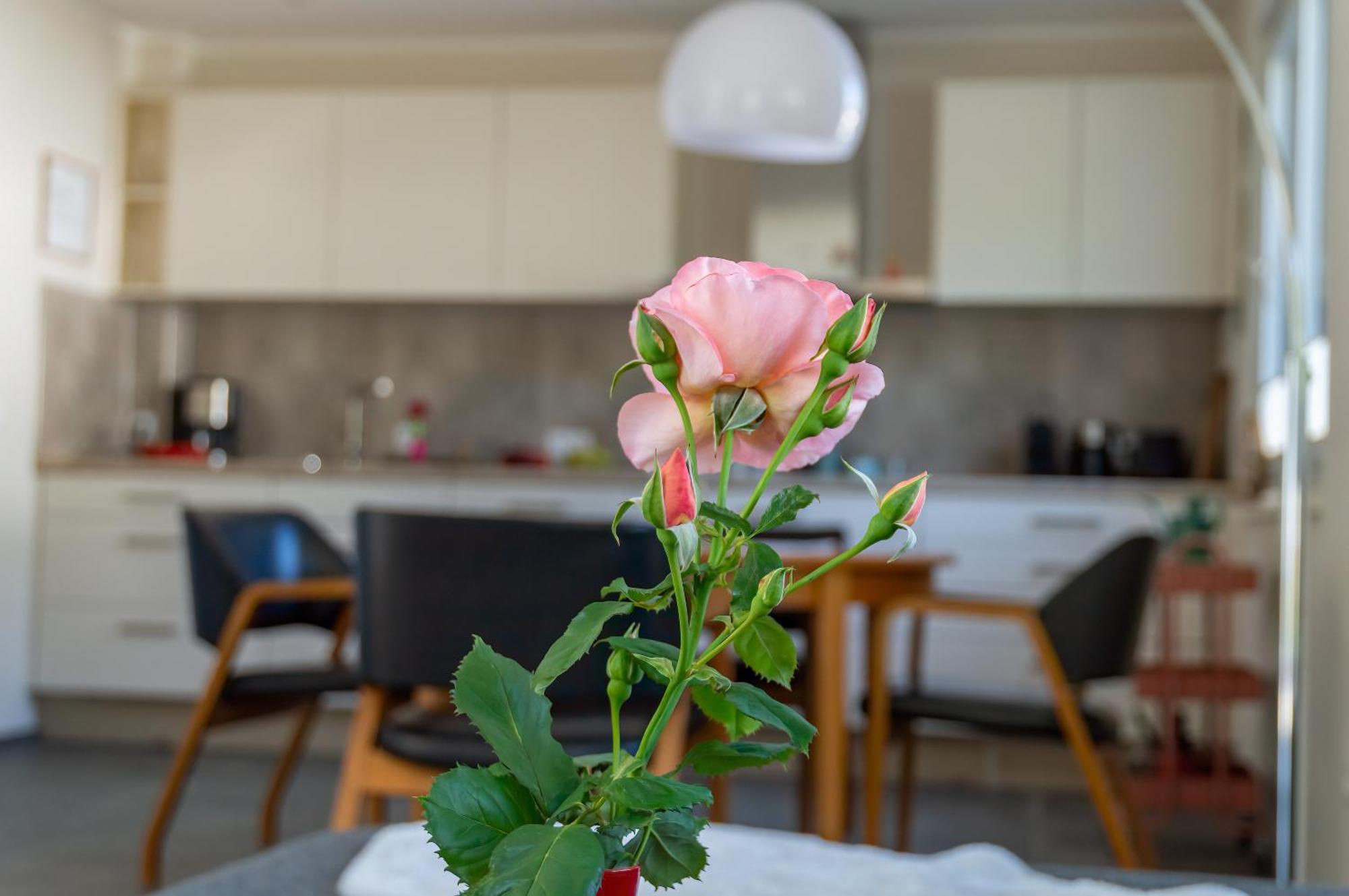 Ferienwohnung Wurzelecht Bad Neuenahr-Ahrweiler Exteriér fotografie