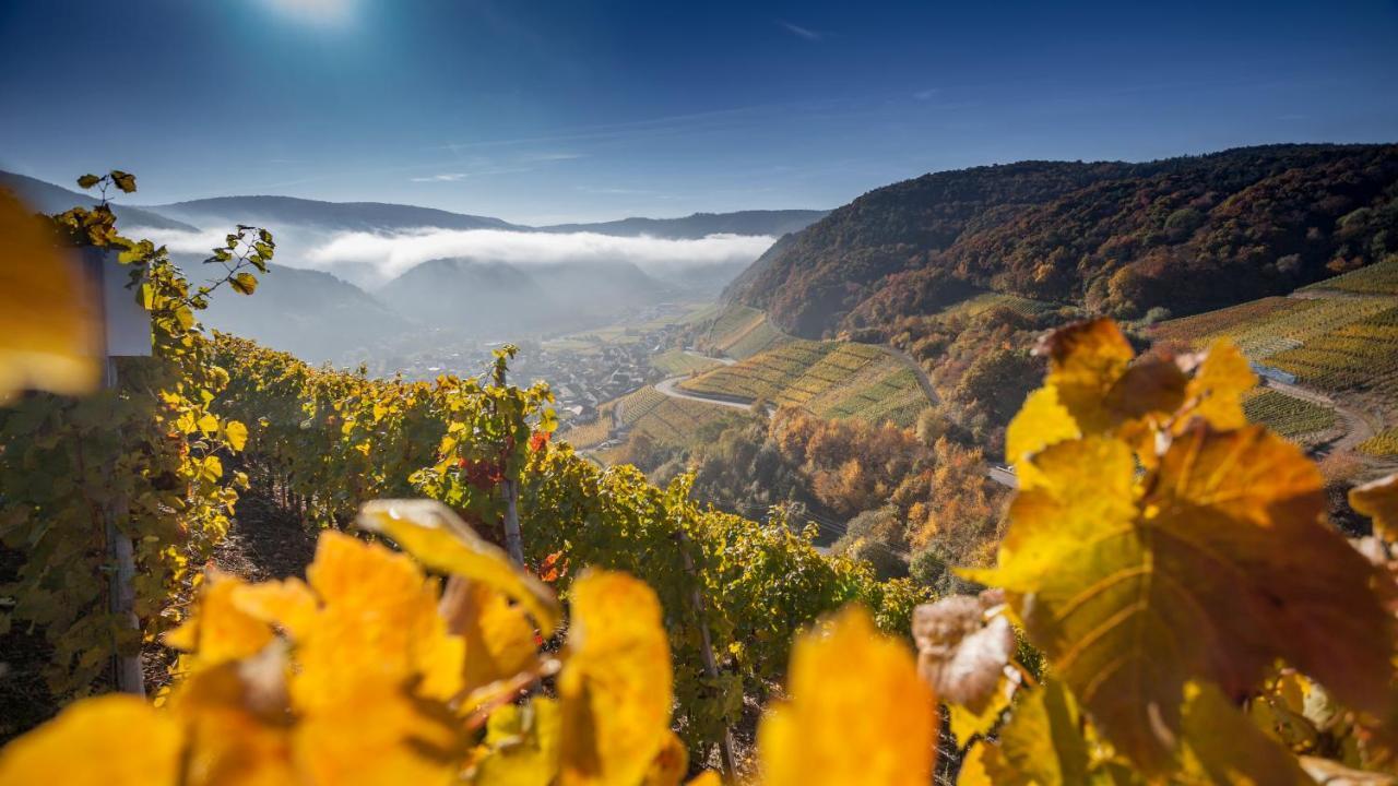 Ferienwohnung Wurzelecht Bad Neuenahr-Ahrweiler Pokoj fotografie